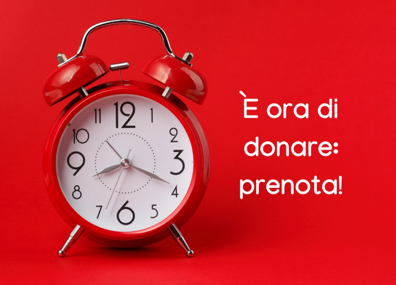 Avis Genzano, Vivere Impresa sostiene l’appello a donare sangue